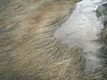 Water drenched mud flats and grass