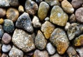 Close-up of Multi-Colored Wet Pebbles