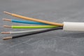 Close up of a multi-conductor insulated power cable Royalty Free Stock Photo