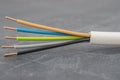 Close up of a multi-conductor insulated power cable