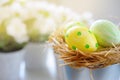 Close up of multicolor Easter eggs in bucket.