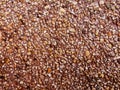 Close - up Multicolored stone ground texture. Royalty Free Stock Photo