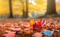 Close up of multicoloured maple leaves lying on the ground in park with yellow trees in background. Generative AI illustration