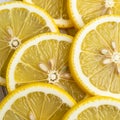 Close up of multiple lemon slices arranged overlapping each other Royalty Free Stock Photo