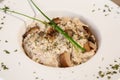 A close up of mushroom risotto garnish with oregano