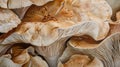 Close-up of Mushroom Underside, Hyper-Realistic Texture, Emphasizing The Natural Architecture of Gills Royalty Free Stock Photo