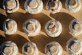 close up of mushrooms placed in rows. Healthy vegetarian and vegan food