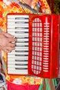 Close-up the musician fingers playing the red accordion, the street musician show. Royalty Free Stock Photo