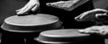 Close up of musician hand playing bongos drums. The musician plays the bongo. Afro Cuba, rum, drummer, fingers, hand Royalty Free Stock Photo