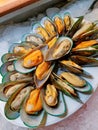 Close up of mussels on white dish Shellfish Royalty Free Stock Photo