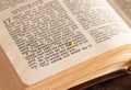 Close up of mustard seed on open Holy Bible Book. Royalty Free Stock Photo