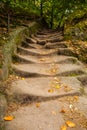 Close up of narrow walkway in forest