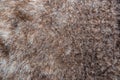 Close up of natural brown fur texture background Royalty Free Stock Photo