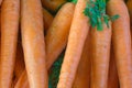 close-up of natural carrots from organically grown without chemicals