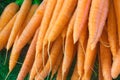 close-up of natural carrots from organically grown without chemicals