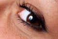 Close up of natural female eye Royalty Free Stock Photo