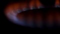 Close up for natural gas burns on the kitchen stove in the dark. Media. Red and blue flame of gas burner, cooking