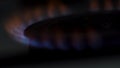 Close up for natural gas burns on the kitchen stove in the dark. Media. Red and blue flame of gas burner, cooking