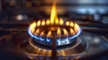 Close-up of a natural gas stove burner.