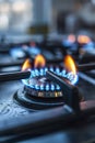 Close-up of a natural gas stove burner.