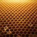 Close-up of a natural honeycomb structure with a repeating hexagonal pattern. The