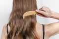 Close up of natural long hair. Woman combing her long hair with a comb, back view, isolated on gray Royalty Free Stock Photo