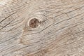 Close-up natural old wood texture with weathered crack lines, curves, swirls. Detail of abstract grunge cracked profile Royalty Free Stock Photo