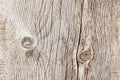 Close-up natural old wood weathered board texture with crack lines, curves, swirls. Aged surface. Grunge background Royalty Free Stock Photo