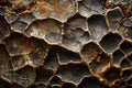 Close-up of natural organic textured surface with porous pattern