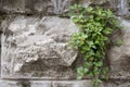 Close up of natural stone wall. Texture for background