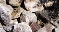 Close-up in the rock garden of different types of gravel Royalty Free Stock Photo