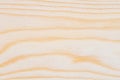 Close up natural surface wooden texture background. Elegant Design with Copy Space for placement your text or use as background