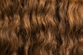 Close up of natural wavy hair, Beautiful curl hairstyle of brown hair, texture