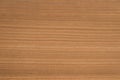 Close up natural wood grain texture / background Royalty Free Stock Photo