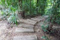 Nature walkway in forest at country Thailand
