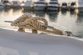 Close-up nautical knot rope tied around stake on boat or ship, boat mooring rope Royalty Free Stock Photo