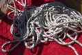 Close-up of a nautical mooring rope with a knotted end tied around a cleat on a wooden pier nautical Royalty Free Stock Photo