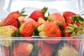 Close up near ripe red strawberry in plastic transparency pack, on white background Royalty Free Stock Photo