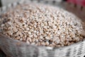 Close up of a nest full of coffee beans before peeling Royalty Free Stock Photo