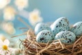 Close up of nest with painted blue easter eggs on blurred Festive background with flowers