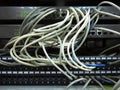 Close up network cables connected to switch in server rack Royalty Free Stock Photo