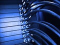 close up of network cables in a data center Royalty Free Stock Photo
