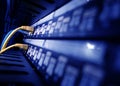 close up of network cables in a data center Royalty Free Stock Photo