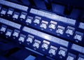 close up of network cables in a data center Royalty Free Stock Photo