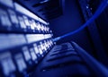 close up of network cables in a data center Royalty Free Stock Photo