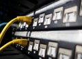 close up of network cables in a data center Royalty Free Stock Photo