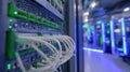 Close-up of Network Cables Plugged into a Server Rack in a High-Tech Data Center Environment Royalty Free Stock Photo