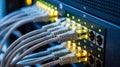 Close-up of network cables plugged into a server rack with illuminated blinking lights Royalty Free Stock Photo