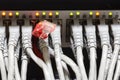 Close-up of network hub and ethernet cables Royalty Free Stock Photo