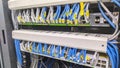 Close-up of a network server with multiple Ethernet cables connected to switches, showcasing a structured Royalty Free Stock Photo